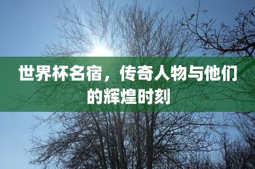 世界杯名宿，传奇人物与他们的辉煌时刻