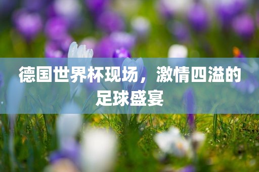 德国世界杯现场，激情四溢的足球盛宴