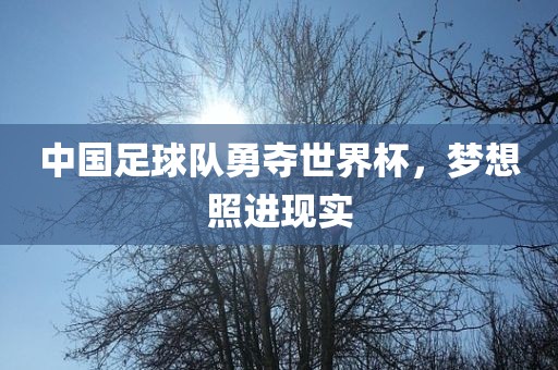中国足球队勇夺世界杯，梦想照进现实