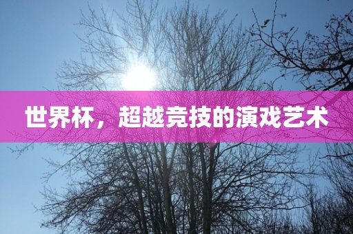 世界杯，超越竞技的演戏艺术