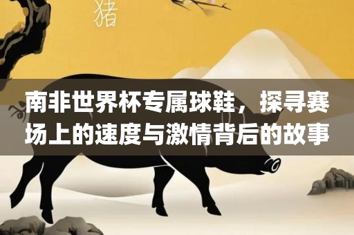 南非世界杯专属球鞋，探寻赛场上的速度与激情背后的故事