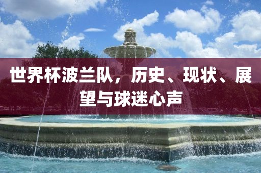 世界杯波兰队，历史、现状、展望与球迷心声