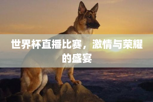 世界杯直播比赛，激情与荣耀的盛宴