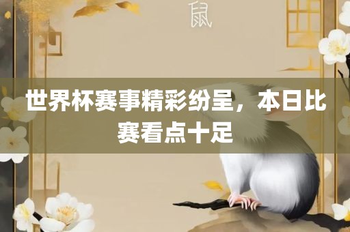 世界杯赛事精彩纷呈，本日比赛看点十足
