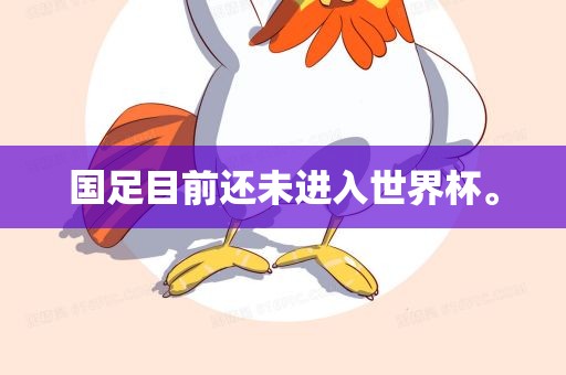 国足目前还未进入世界杯。