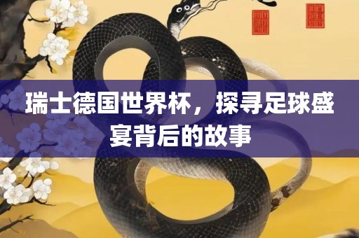 瑞士德国世界杯，探寻足球盛宴背后的故事