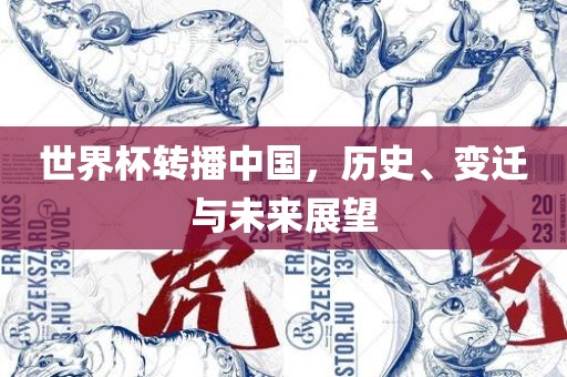 世界杯转播中国，历史、变迁与未来展望