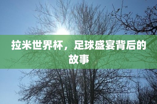 拉米世界杯，足球盛宴背后的故事