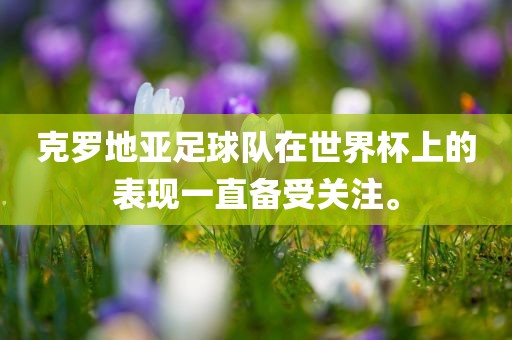 克罗地亚足球队在世界杯上的表现一直备受关注。