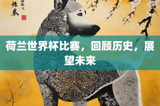 荷兰世界杯比赛，回顾历史，展望未来
