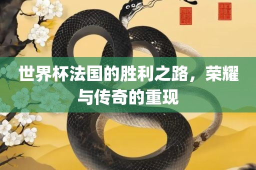 世界杯法国的胜利之路，荣耀与传奇的重现