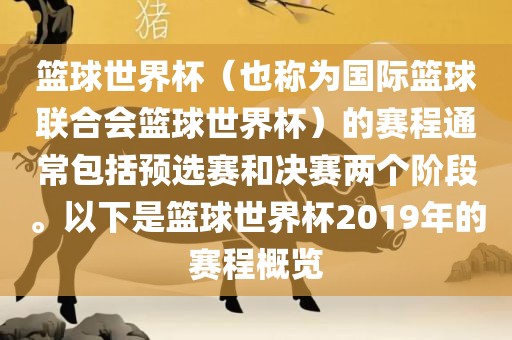 赛程概览