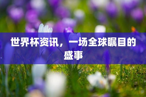 世界杯资讯，一场全球瞩目的盛事