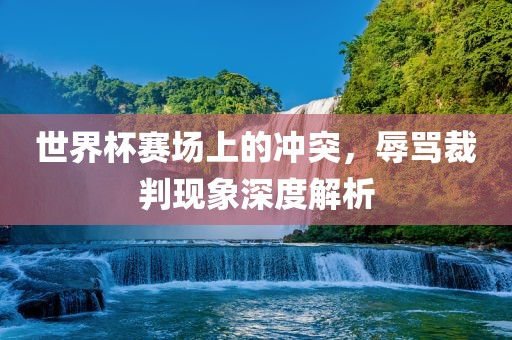 世界杯赛场上的冲突，辱骂裁判现象深度解析