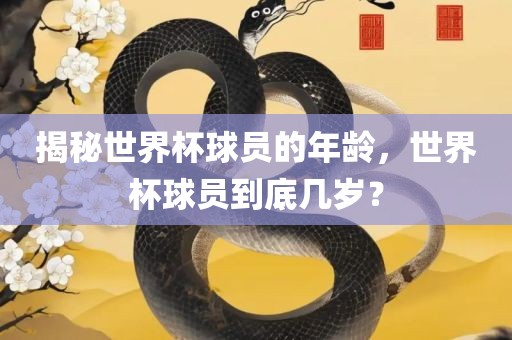 揭秘世界杯球员的年龄，世界杯球员到底几岁？