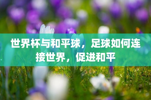 世界杯与和平球，足球如何连接世界，促进和平