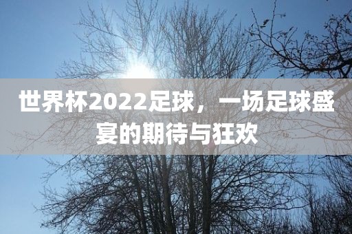 世界杯2022足球，一场足球盛宴的期待与狂欢