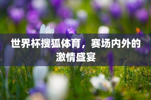 世界杯搜狐体育，赛场内外的激情盛宴