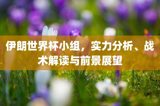 伊朗世界杯小组，实力分析、战术解读与前景展望