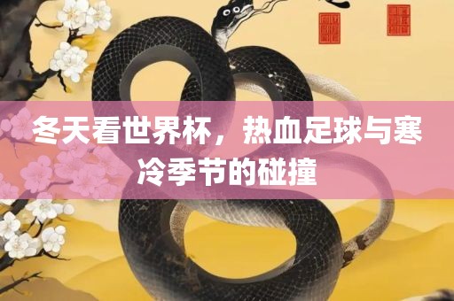 冬天看世界杯，热血足球与寒冷季节的碰撞