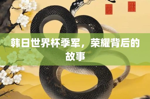 韩日世界杯季军，荣耀背后的故事