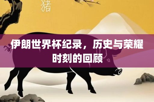 伊朗世界杯纪录，历史与荣耀时刻的回顾
