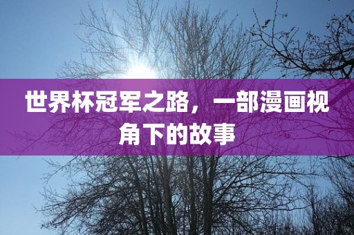 世界杯冠军之路，一部漫画视角下的故事