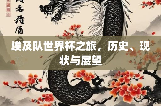埃及队世界杯之旅，历史、现状与展望