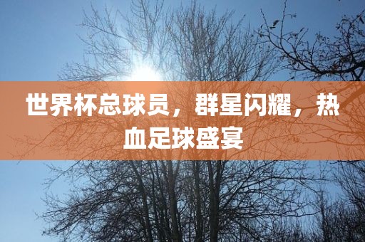 世界杯总球员，群星闪耀，热血足球盛宴