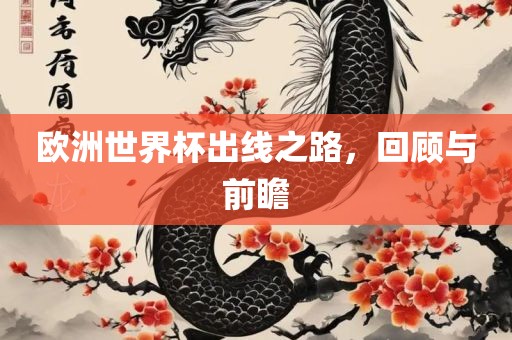 欧洲世界杯出线之路，回顾与前瞻