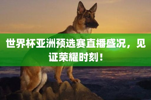 世界杯亚洲预选赛直播盛况，见证荣耀时刻！