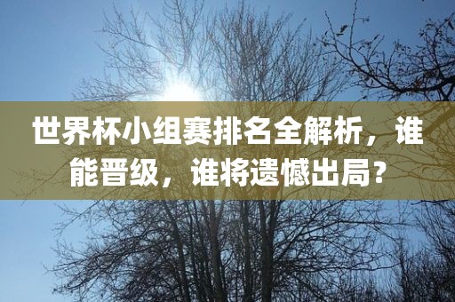 世界杯小组赛排名全解吉安市靖泰电力工程有限公司析，谁能晋级，谁将遗憾出局？