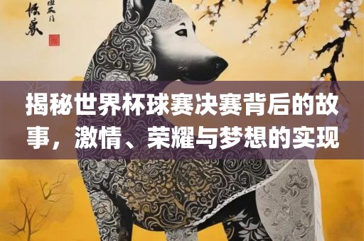 揭秘世界杯球赛决赛背后的故事，激情、荣耀与梦想的实现