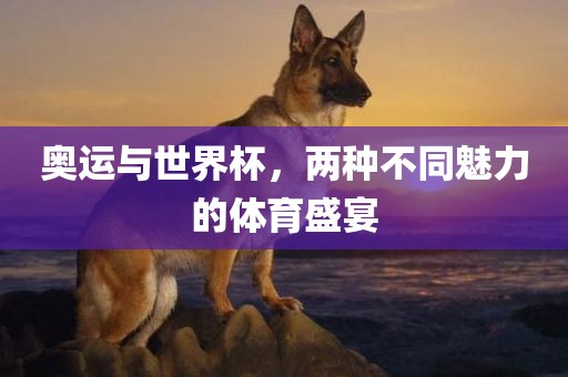 奥运与世界杯，两种不同魅力的体育盛宴