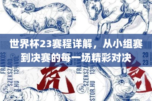 世界杯23赛程详解，从小组赛到决赛的每一场精彩对决