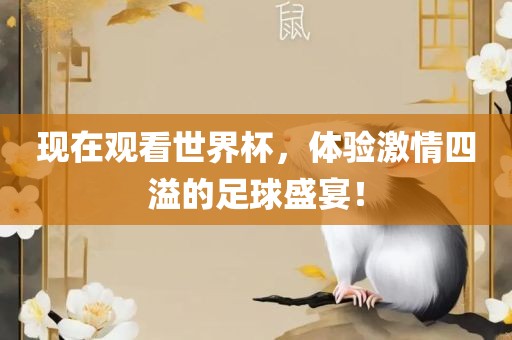 现在观看世界杯，体验激情四溢的足球盛宴！