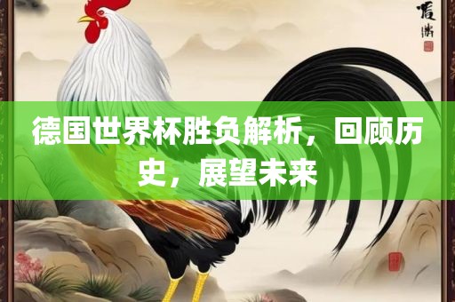 德国世界杯胜负解析，回顾历史，展望未来