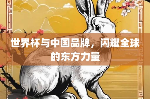 世界杯与中国品牌，闪耀全球的东方力量