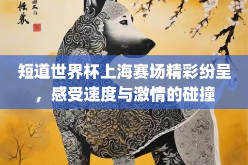 短道世界杯上海赛场精彩纷呈，感受速度与激情的碰撞