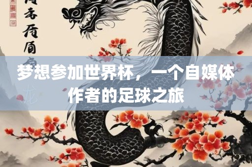 梦想参加世界杯，一个自媒体作者的足球之旅