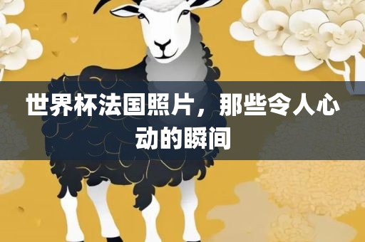 世界杯法国照片，那些令人心动的瞬间
