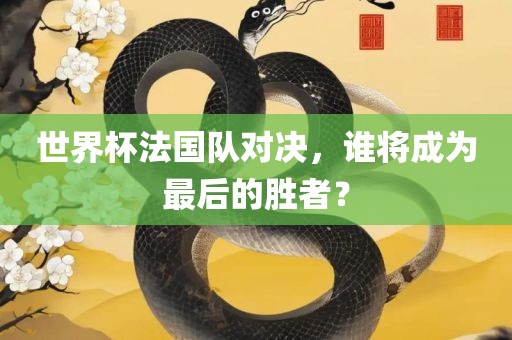 世界杯法国队对决，谁将成为最后的胜者？