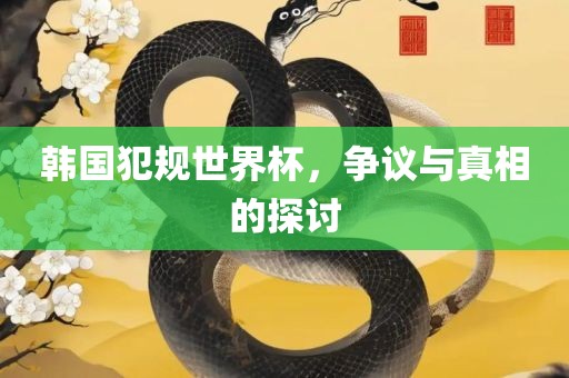韩国犯规世界杯，争议与真相的探讨
