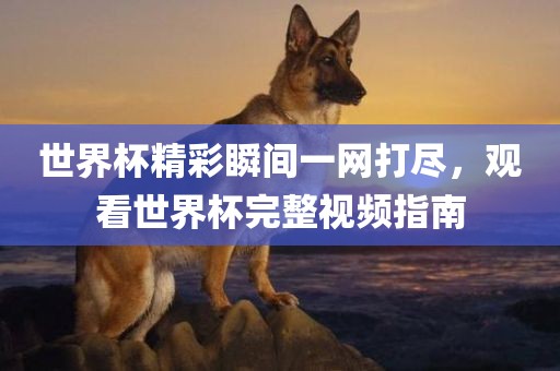 世界杯精彩瞬间一网打尽，观看世界杯完整视频指南