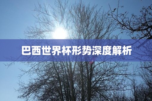 巴西世界杯形势深度解析吉安市靖泰电力工程有限公司
