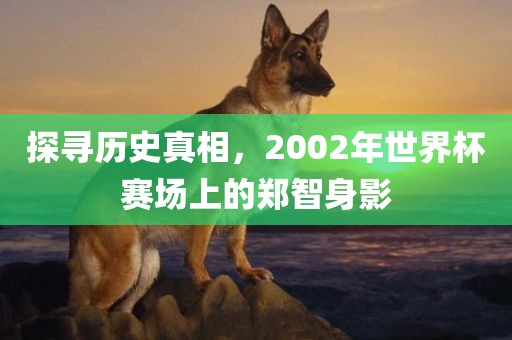 探寻历史真相，2002年世界杯赛场上的郑智身影吉安市靖泰电力工程有限公司