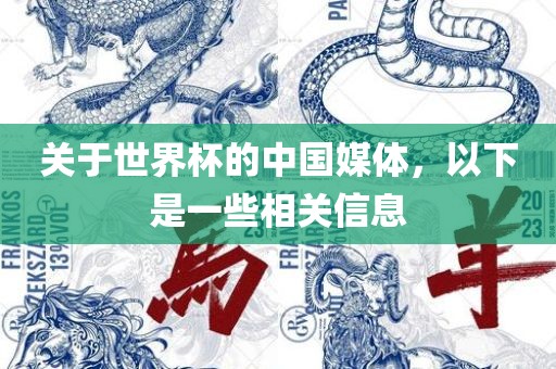 关于世界杯的中国媒体，以下是一些相关信息