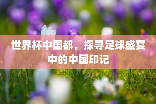 世界杯中国都，探寻足球盛宴中的中国印记