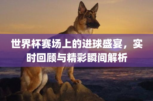 世界杯赛场上的进球盛宴，实时回顾与精彩瞬间解析