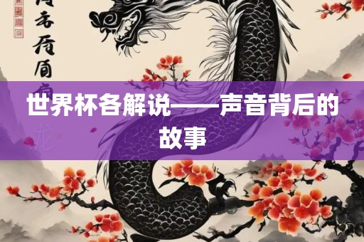 世界杯解说